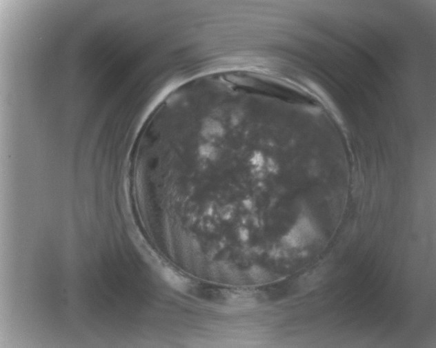 X0000081610899200701221159