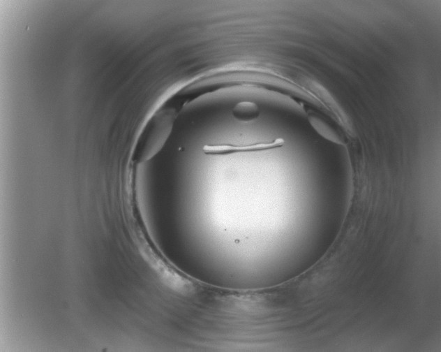 X0000081610900200701221159