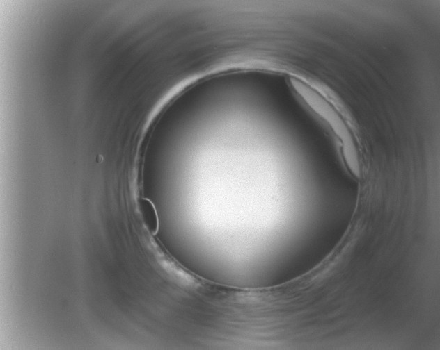 X0000081610904200701221159