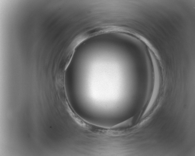 X0000081610905200701221159