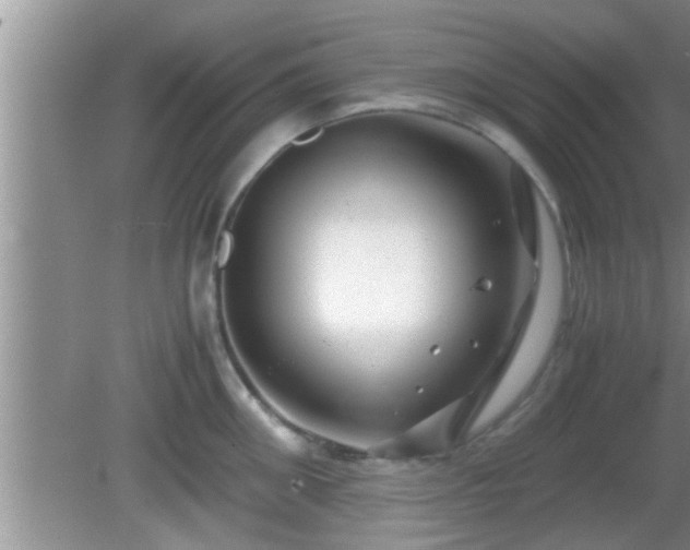 X0000081610906200701221159