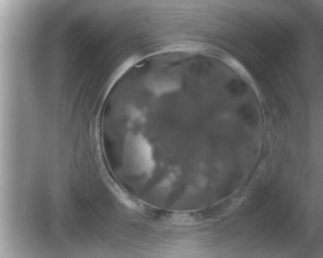 X0000081610907200701221159