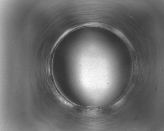 X0000081610908200701221159