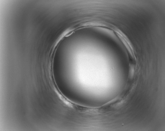 X0000081610909200701221159