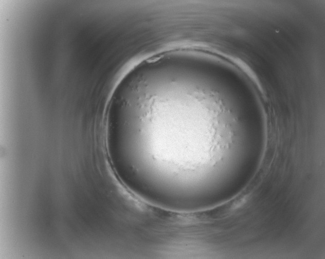 X0000081610911200701221159