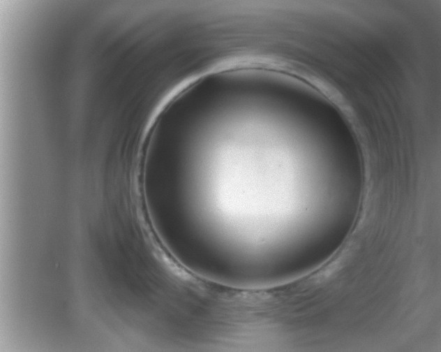 X0000081610912200701221159