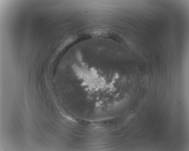 X0000081610913200701221158