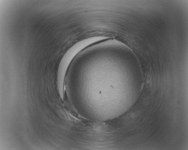 X0000081610916200701221158