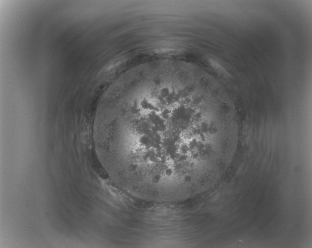 X0000081610917200701221158