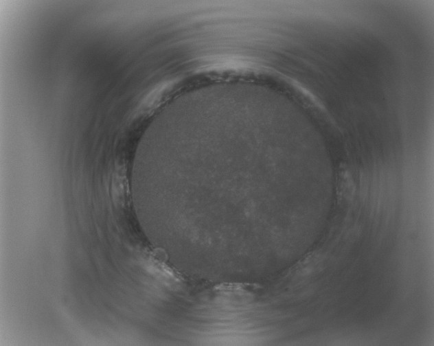 X0000081610918200701221158