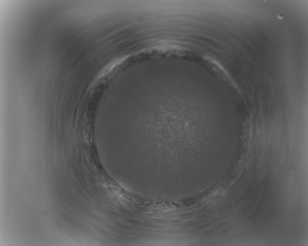 X0000081610919200701221158