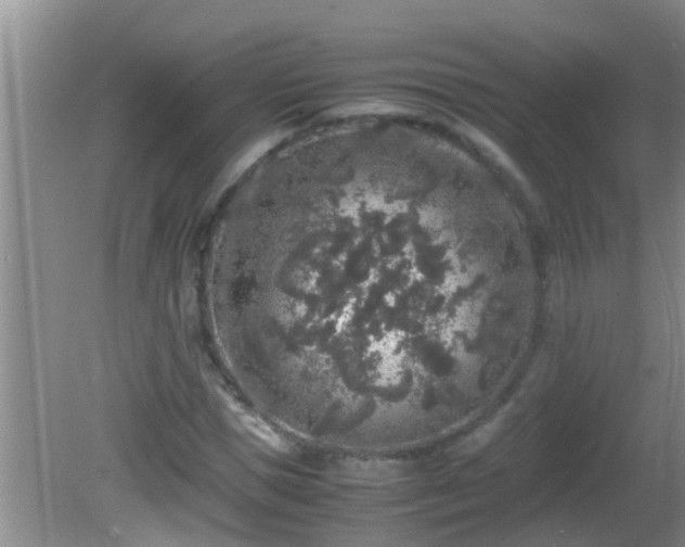 X0000081610921200701221158