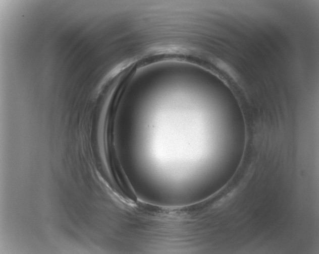 X0000081610922200701221158