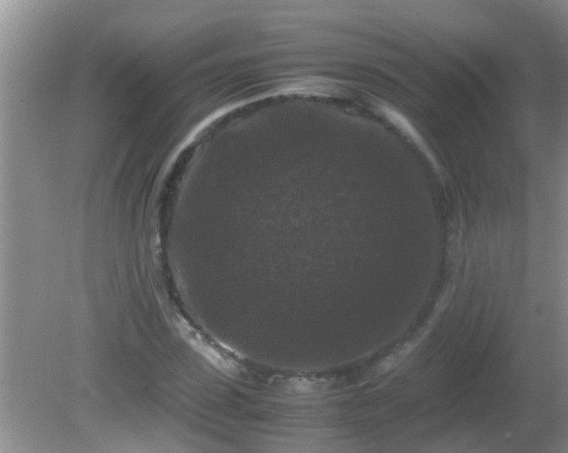 X0000081610923200701221158