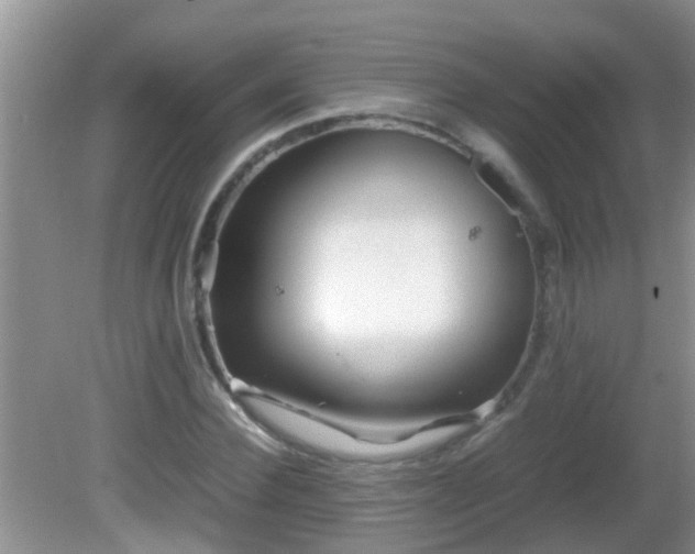 X0000081610924200701221158