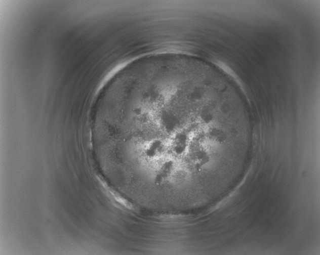 X0000081610925200701221158