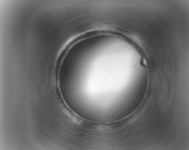 X0000081610927200701221158