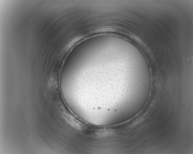 X0000081610929200701221158