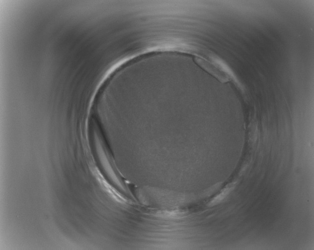 X0000081610932200701221158