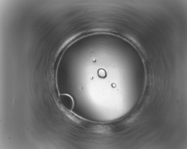 X0000081610933200701221158