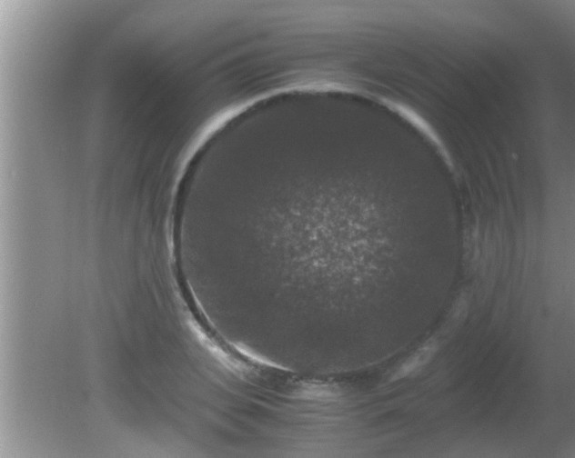 X0000081610935200701221158