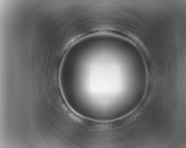 X0000081610937200701221158