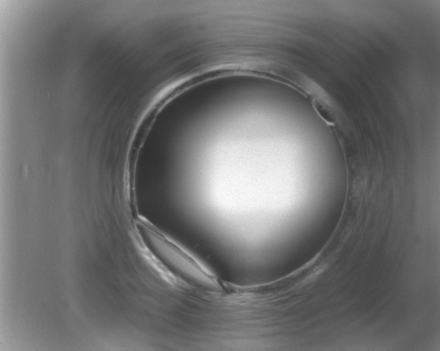 X0000081610940200701221158