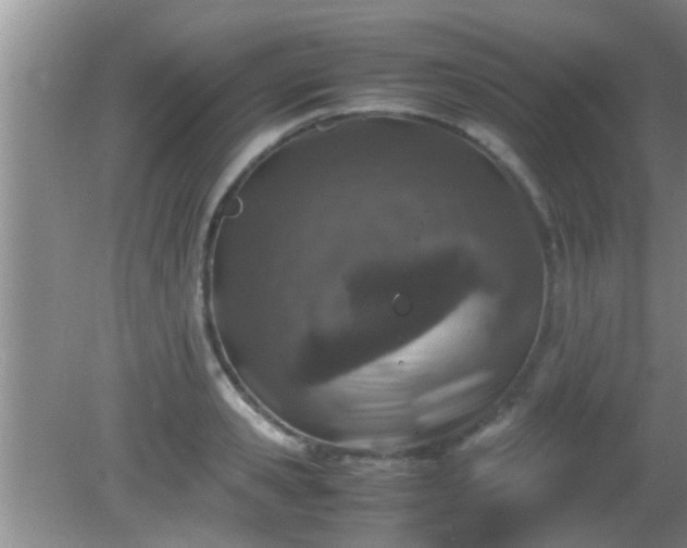 X0000081610941200701221158