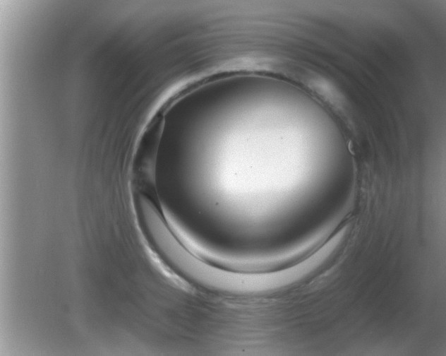 X0000081610942200701221158