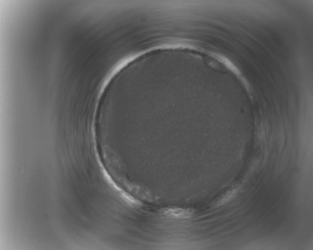 X0000081610943200701221158