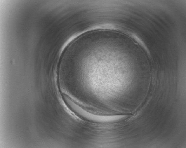 X0000081610944200701221159