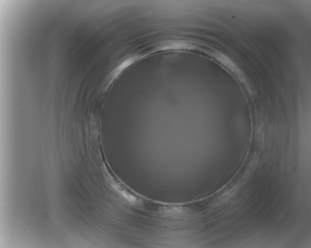 X0000081610945200701221159