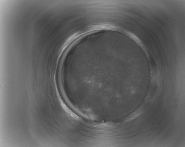 X0000081610946200701221159