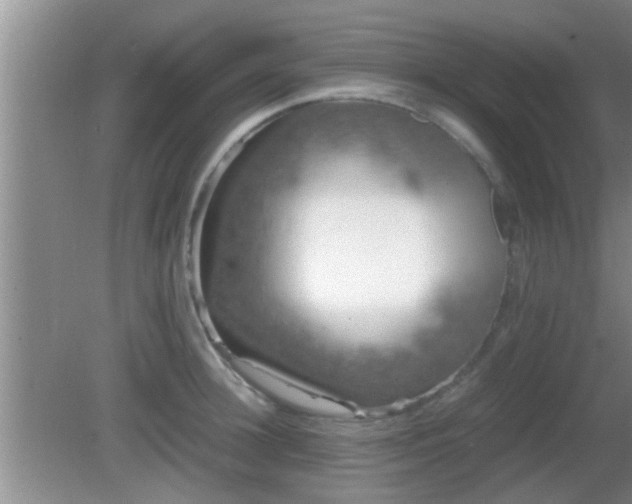 X0000081610948200701221159