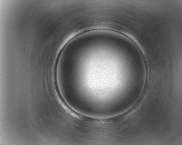 X0000081610949200701221159