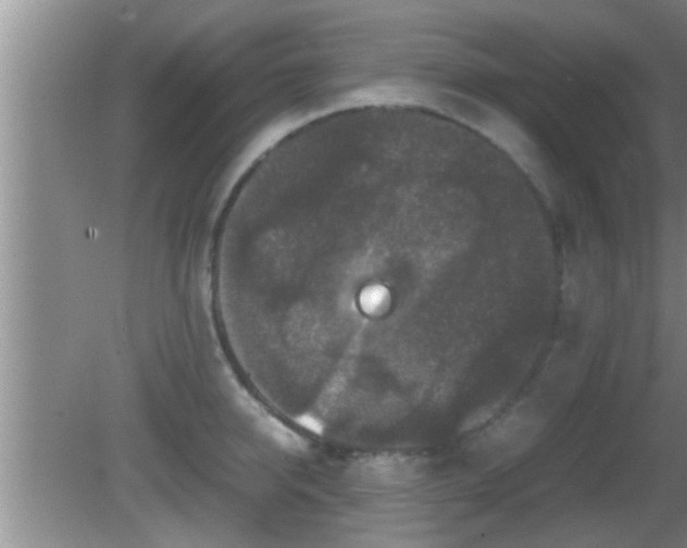 X0000081610950200701221159