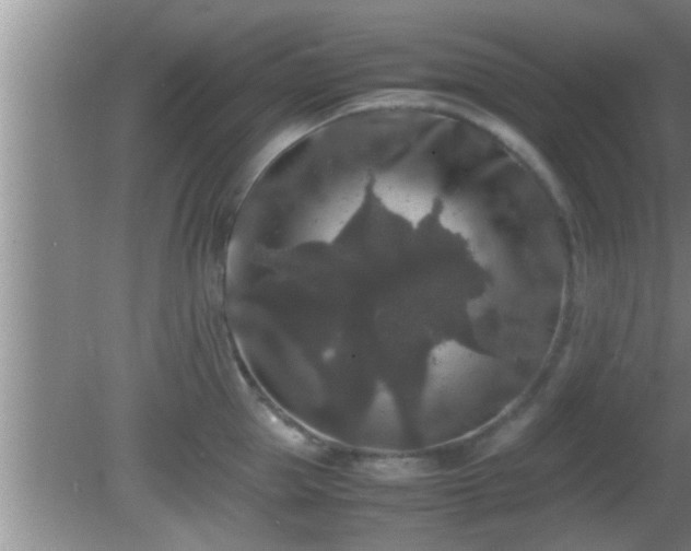 X0000081610953200701221159