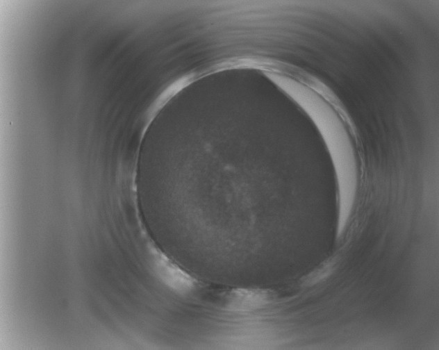 X0000081610954200701221159