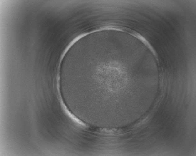 X0000081610955200701221159