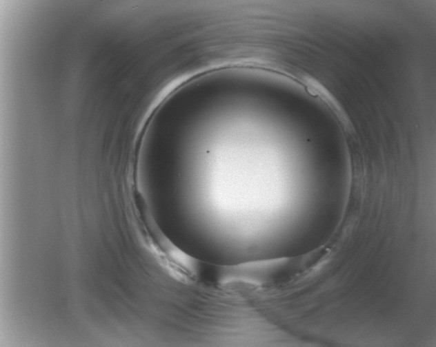 X0000081610956200701221159