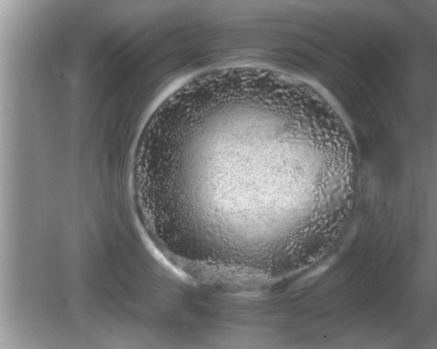 X0000081610957200701221159