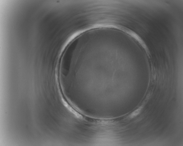 X0000081610958200701221159