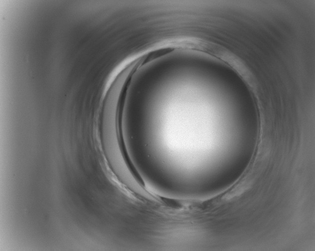 X0000081610960200701221159