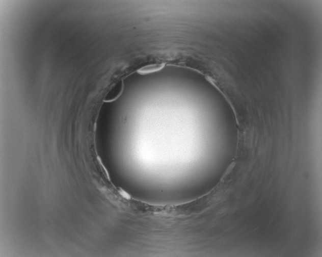 X0000081610961200701221158