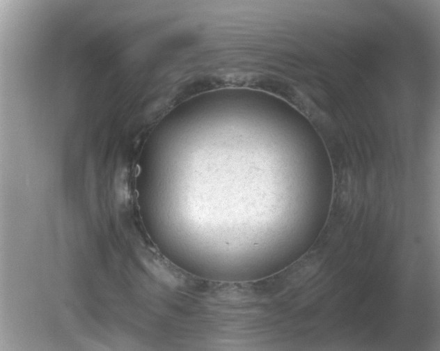 X0000081610962200701221158