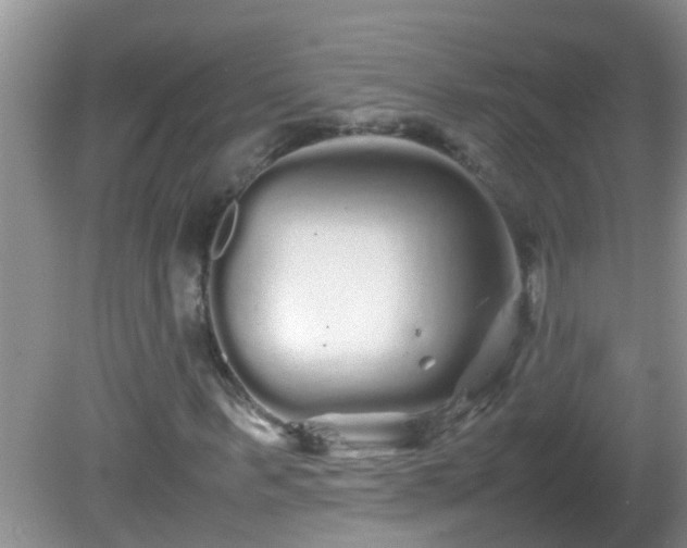 X0000081610963200701221158