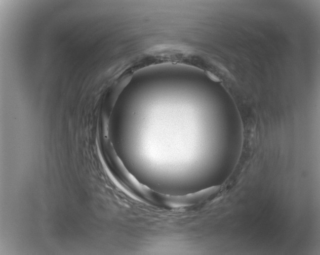 X0000081610965200701221158