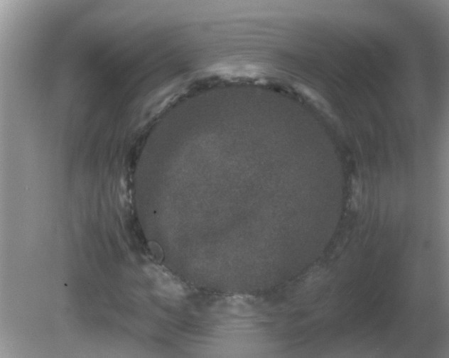 X0000081610966200701221158