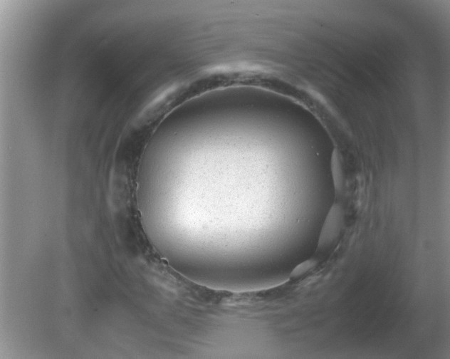 X0000081610967200701221158