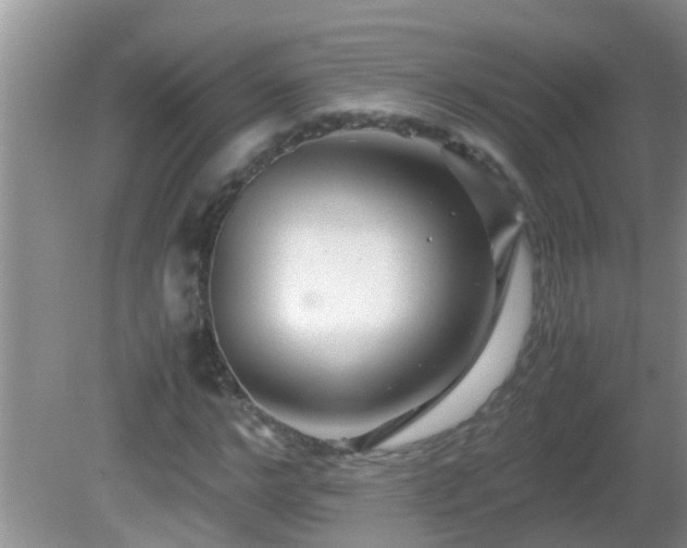 X0000081610968200701221158